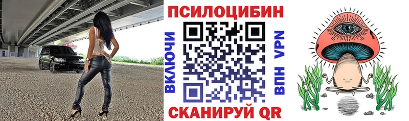 KRAKEN   Рассказово  Псилоцибиновые грибы MAGIC MUSHROOMS 