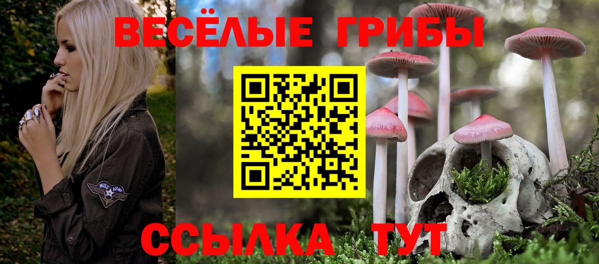 Псилоцибиновые грибы Cubensis Рассказово