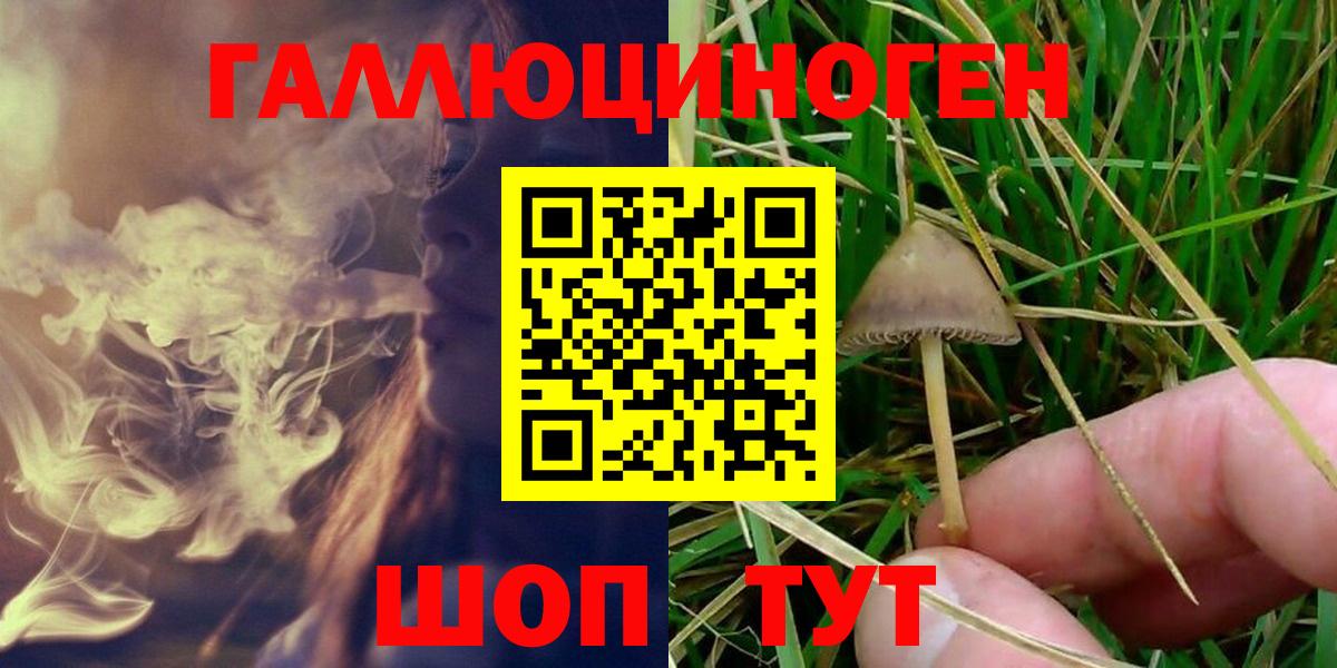 Псилоцибиновые грибы Cubensis  Вход с VPN  Псилоцибиновые грибы Magic Shrooms  где купить   Рассказово 